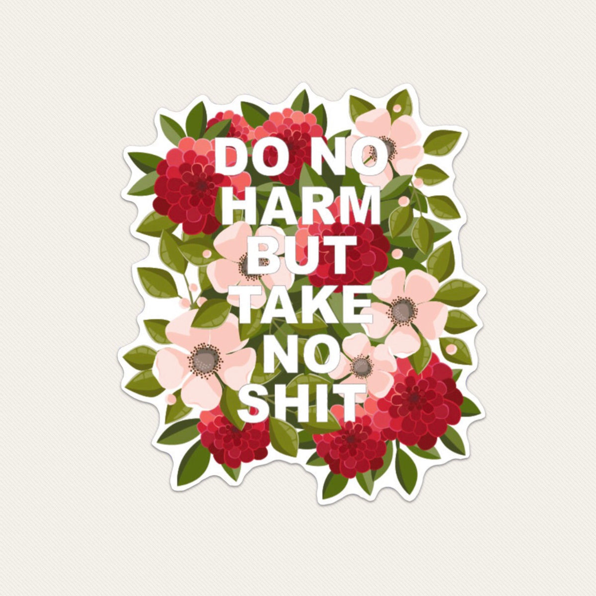 Do No Harm But Take No Shit Nurse Stickers – GirlsPrintingHouse