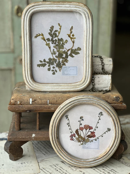 Framed Pressed Flower Art - Round