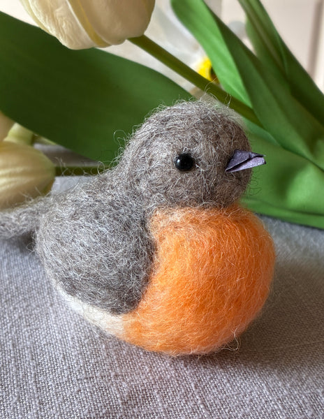 Needlefelted Spring Robin Class