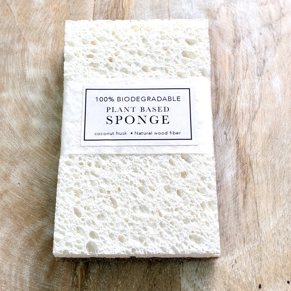 Biodegradable Eco-Friendly Sponge