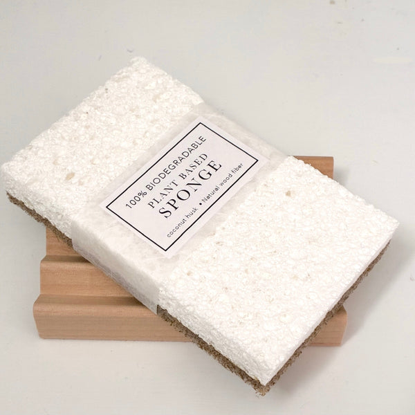 Biodegradable Eco-Friendly Sponge