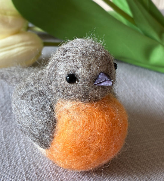 Needlefelted Spring Robin Class