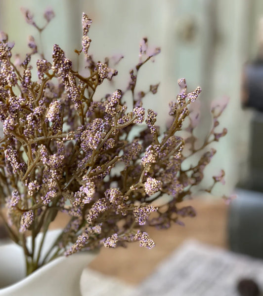 Spring Bud Stems