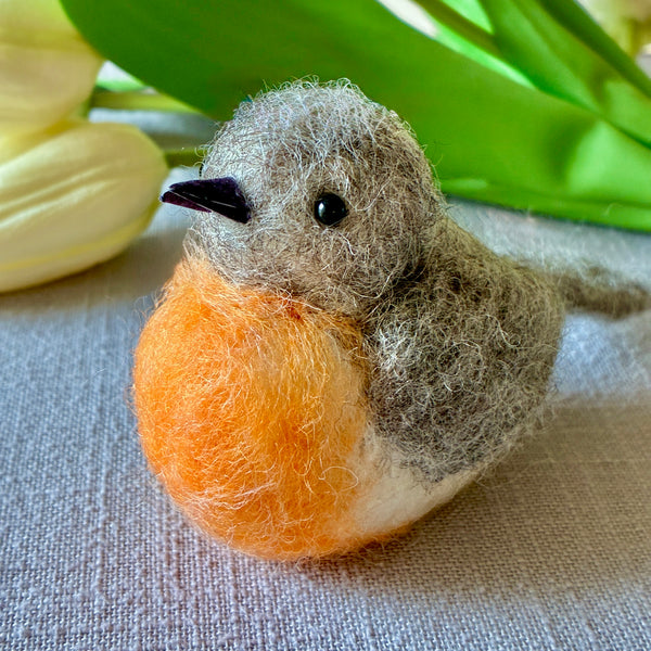 Needlefelted Spring Robin Class