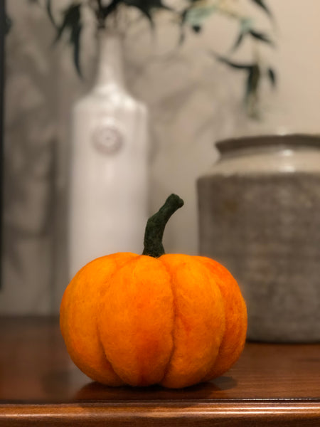 Needle Felted Pumpkin Workshop