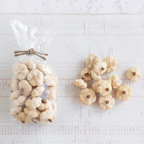 White Pumpkin Pod Bag