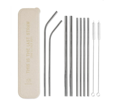 Stainless Steel Drinking Straw Gift Set
