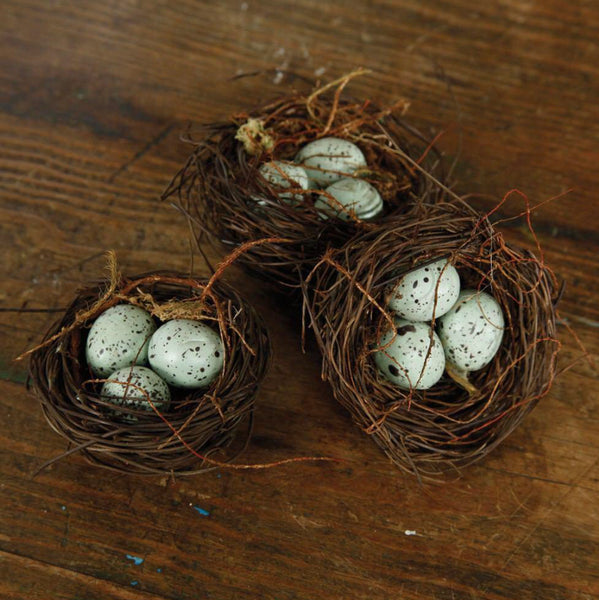 Robins Eggs Bird Nest