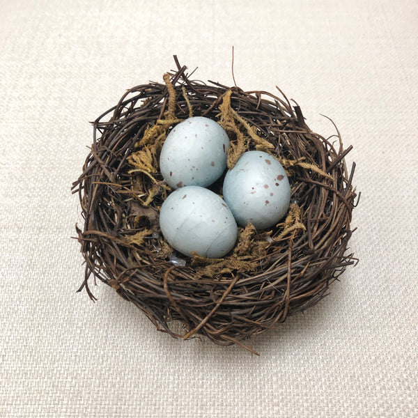 Robins Eggs Bird Nest